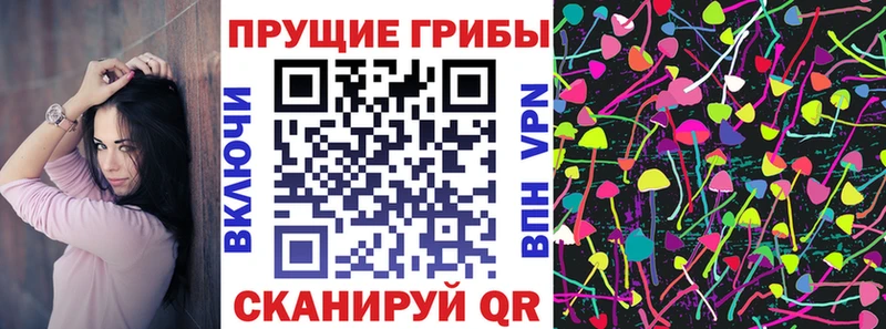 MEGA как зайти Чёрмоз Галлюциногенные грибы ЛСД